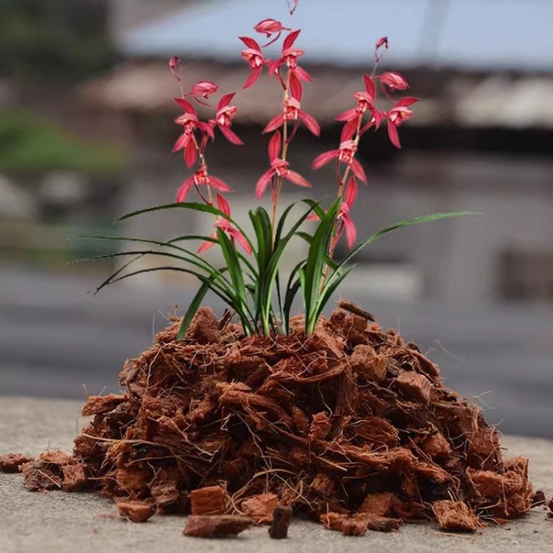 Coconut Coir Brick with Organi - Substrate Coconut Fiber recension och pris