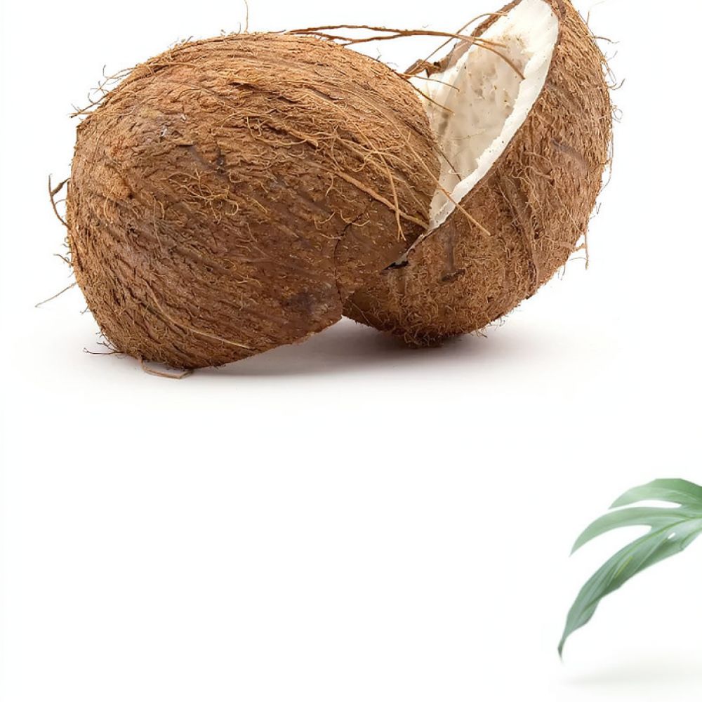 Premium Dehydrated Coconut Coi - Substrate Coconut Fiber recension och pris